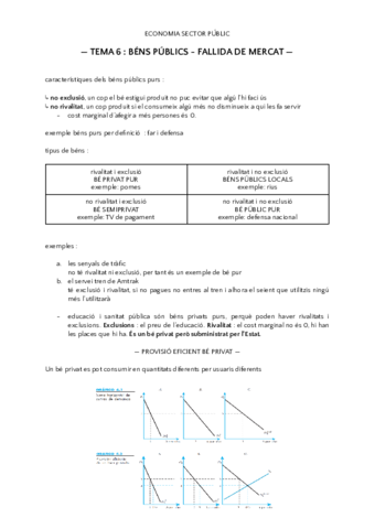 tema-6-sector-public.pdf