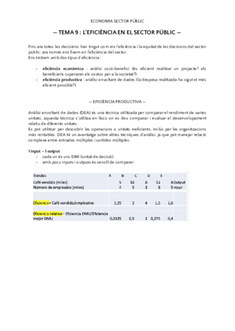 tema-9-sector-public.pdf