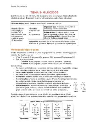 TEMA-3.pdf