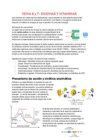 TEMA-6-y-7.pdf