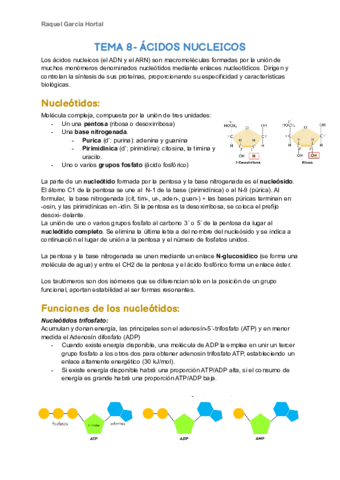 TEMA-8.pdf