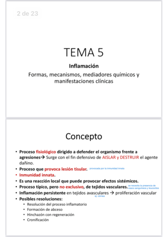 Tema 5.pdf