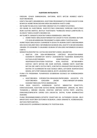 AUDITORIA-ANTOLAKETA-2-1.pdf