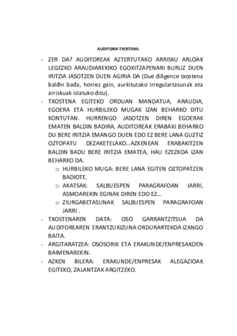 AUDITORIA-TXOSTENA-1-1.pdf