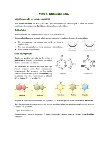 Acidos-nucleicos.pdf