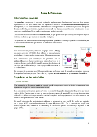 Proteinas.pdf