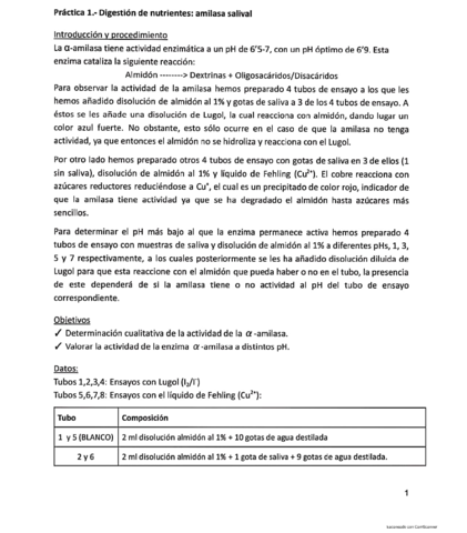 Informe-Practicas-DN.pdf