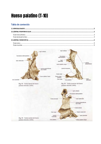 Tema-10-Hueso-palatino-Parellada.pdf