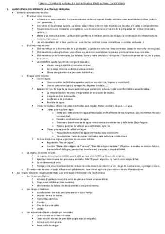 TEMA-4.pdf