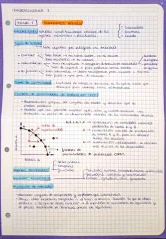 Resumenes-temas.pdf