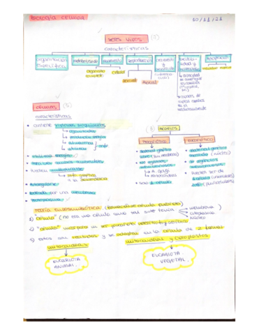 Biocel-1.pdf