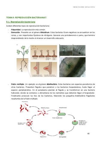 MICRO-I-TEMA-9-12.pdf