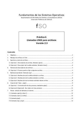 PL06-Castellano.pdf