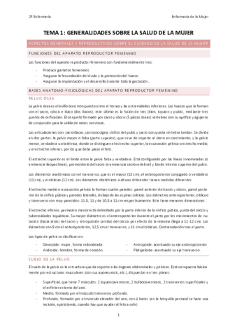 TEMA-1-MUJER-LENO.pdf