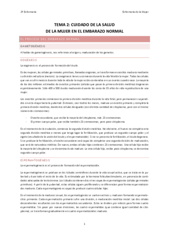 TEMA-2-MUJER-LENO.pdf