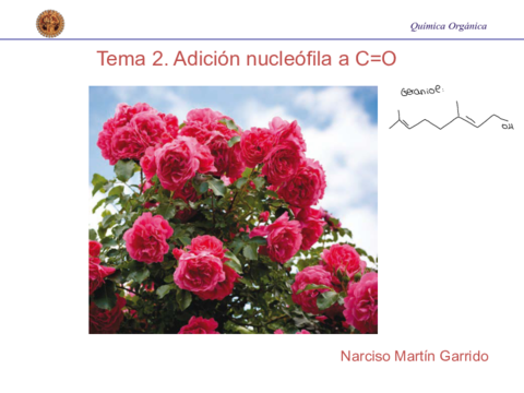 Tema-2-Adicion-nucleofila-a-CO.pdf