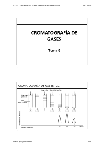 TEMA-9-CROMATOGRAFIA-DE-GASES.pdf