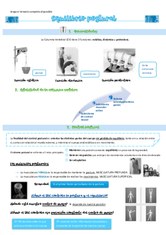 Equilibrio-postural.pdf