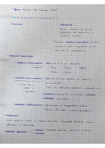 IMG20221124083700.pdf