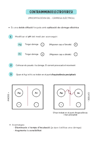 CONTRAIMMUNOELECTROFORESI.pdf