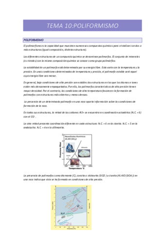 T10-Poliformismo.pdf