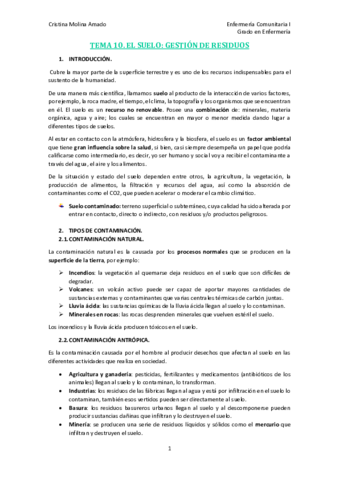 TEMA-10.pdf