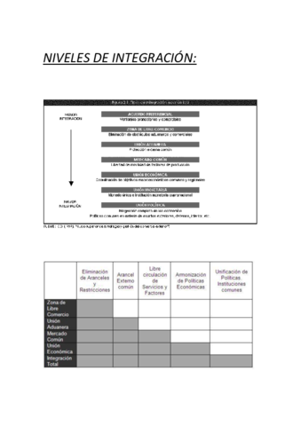 Niveles-de-integraciAn-3.pdf