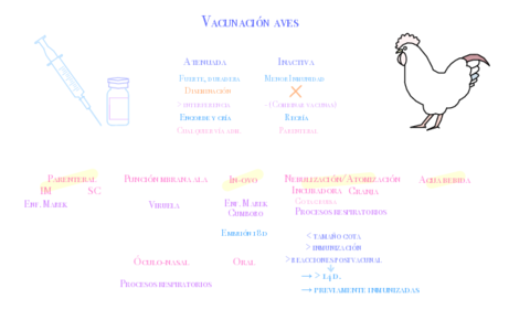 Infecciosas-aves.pdf