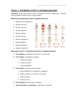 anatomía 1- 2 y 3.pdf