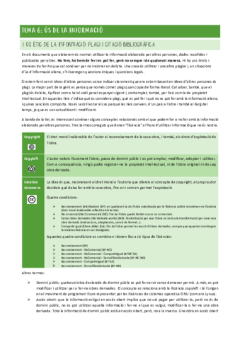 CercaiUsdInformacio-TEMA_6.pdf