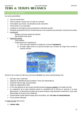 Tema-4.pdf