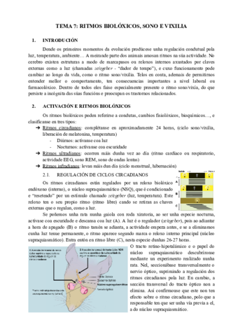 Tema-7.pdf