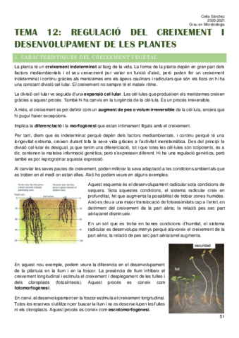 Tema-12.pdf