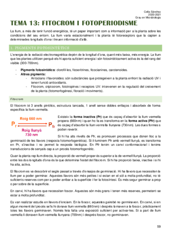 Tema-13.pdf