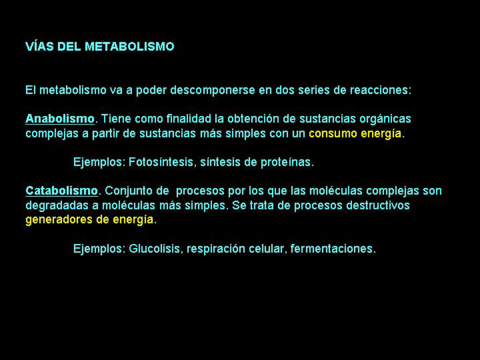 Tema-14-2-Nutricion-celular-anabolismo.pdf