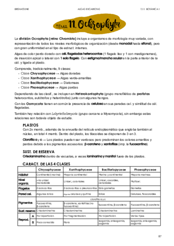 Tema-11-Ochrophyta.pdf