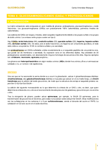 TEMA-6Glucosaminoglicanos.pdf