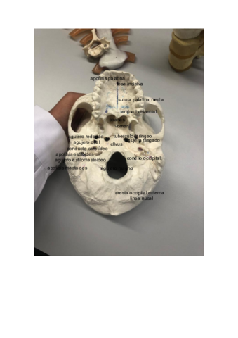 fotografias-practico.pdf