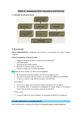 TEMA-11-normalizacion-e-influencia-mayoritaria.pdf