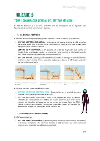 BLOQUE-6-FISIOLOGIA.pdf