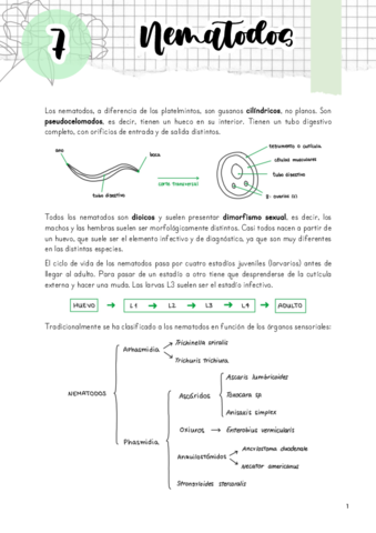 Tema-7.pdf