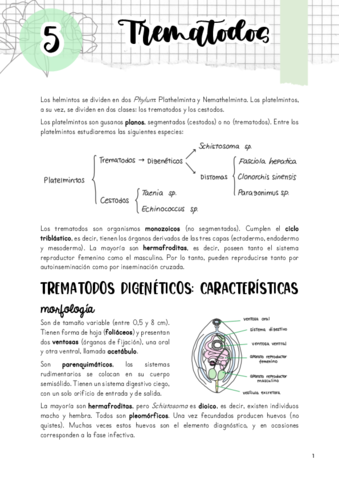 Tema-5.pdf