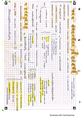 Revolucion-Industrial.pdf