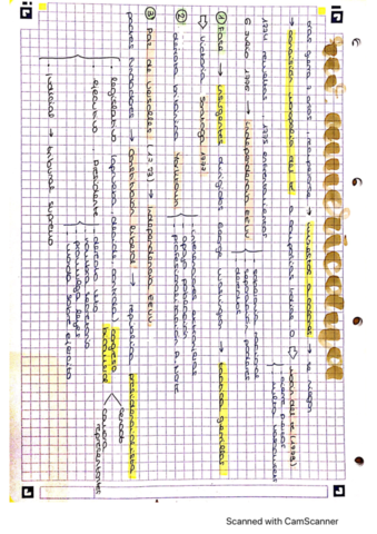 Revolucion-Americana.pdf