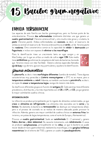 Tema-15.pdf