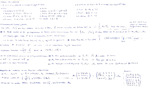 ESPACIOS-VECTORIALES-Y-MATRICES.pdf