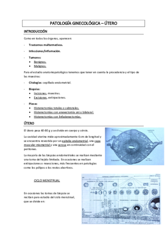 UTERO-apuntes-1.pdf