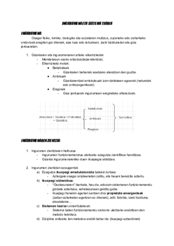 INGURUMENA-ETA-SISTEMA-TEORIA.pdf