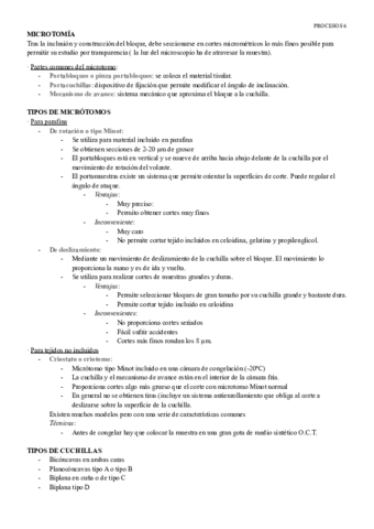PROCESOS-6-.pdf
