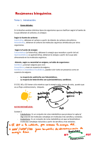 Resumenes-metabolismo.pdf